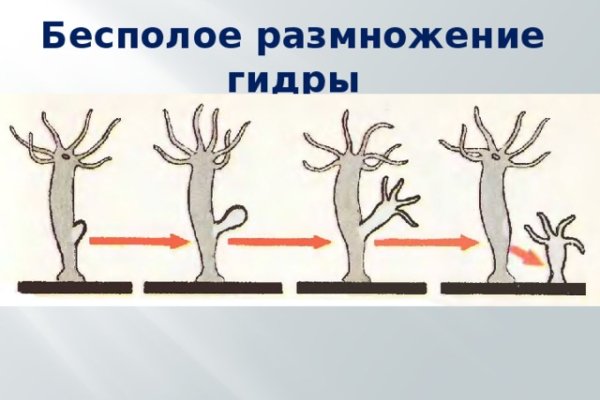 Кракен маркет только через тор скачать